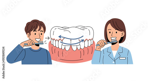 Man and Woman Brushing Teeth Correctly with Dental Hygiene Illustration. Vector Illustrations. EPS Editable