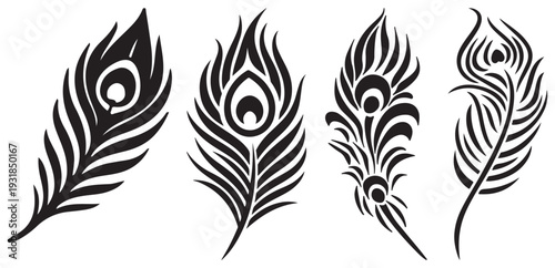 Elegant peacock feather set seamless pattern vector illustration black and white