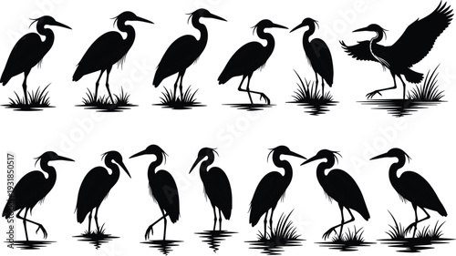 Black silhouettes of herons in various poses on white background bird