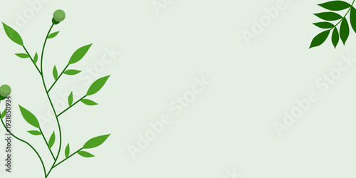 Modern tropical leaves background featuring green botanical elements with clean copy space composition. Perfect for banner design, branding, social media, advertising, presentation, packaging