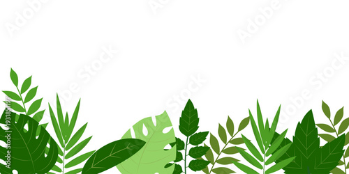 Modern tropical leaves background featuring green botanical elements with clean copy space composition. Perfect for banner design, branding, social media, advertising, presentation, packaging