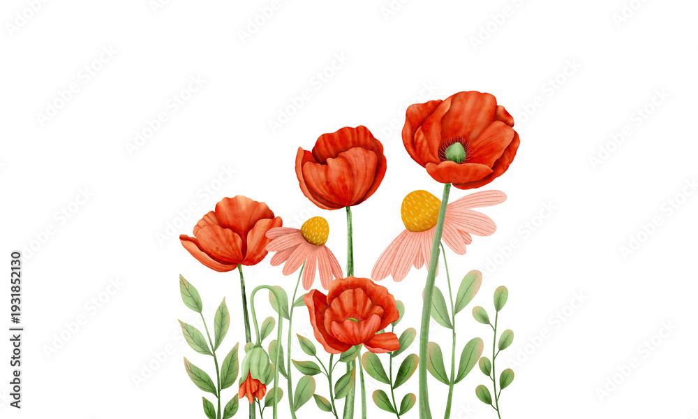 Fototapeta premium Beautiful watercolor poppy and echinacea flowers illustration, red floral bouquet with green leaves isolated on black background for greeting cards.