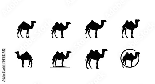 Minimal camel logo silhouette set featuring 4 branding variations including full body camel, elegant side profile, circular emblem badge, and camel with crescent concept.