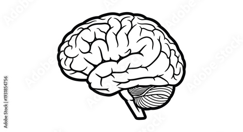 A detailed black and white line drawing depicts a human brain showcasing its complex structure silhouette high quality professional modern elegant