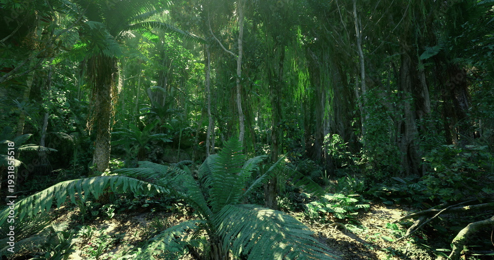 Fototapeta premium Dense rainforest clearing used for research, abundant flora and fronds, mossy substrate and complex microclimate providing rich study ground for biodiversity