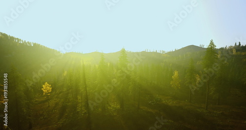 Valokuva Soft nostalgic valley bathed in golden sunrise, pale haze and warm light soften