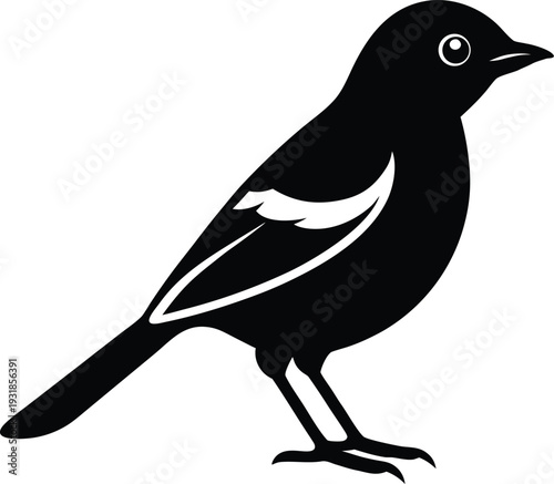 Eurasian Jay Silhouette Vector Art Illustration