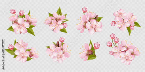 Realistic pink sakura blossom branches with buds and falling petals. Elegant spring floral elements isolated on light background, perfect for seasonal designs, invitations, decorative compositions.