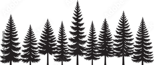 Black silhouette pine tree forest row various heights tall evergreen conifer trees fir spruce landscape, winter nature woodland vector illustration for Christmas background designs logos