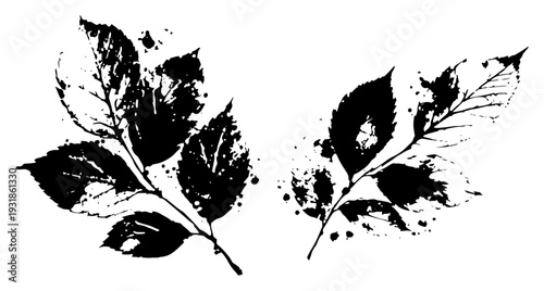 Pair of artistic grunge leaf branches with ink splatter details