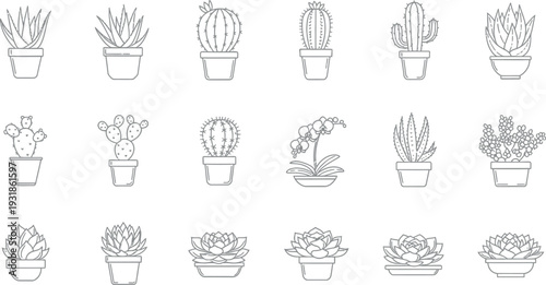 Collection of potted succulent and cactus line icons for gardening design
