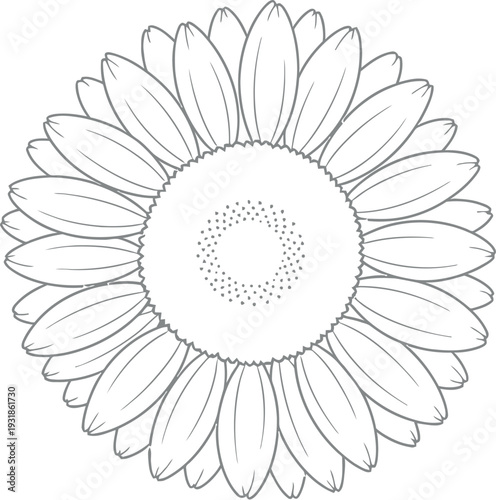 Simple black and white line art drawing of a single daisy flower head