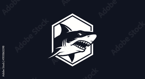 Shark Logo Design Icon Vector Illustration.