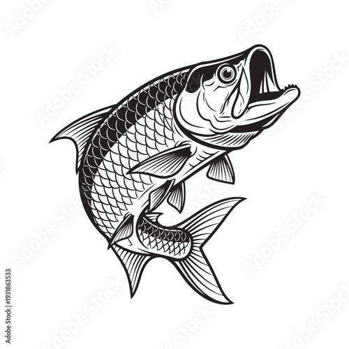 Black and white illustration of a tarpon fish jumping, tarpon, fish, fishing, saltwater