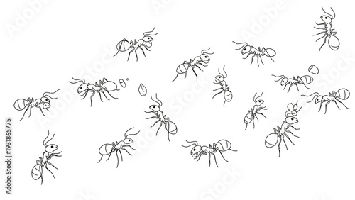 Group of Ants Illustration, Insect Colony, Teamwork Concept