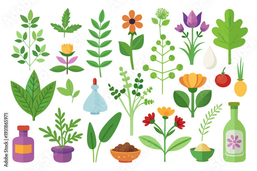 A colorful vector illustration of various plants, flowers, and gardening tools on a white background
