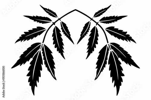 A minimalist black silhouette of cannabis leaves on a white background