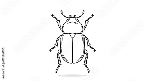Line Art Scarab Beetle Drawing