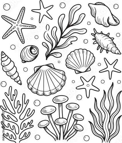 Sea Shells and Coral Reef Vector Collection: Underwater Marine Life Illustrations,Black and White Line Art Set of Ocean Treasures, Starfish, and Aquatic Plants