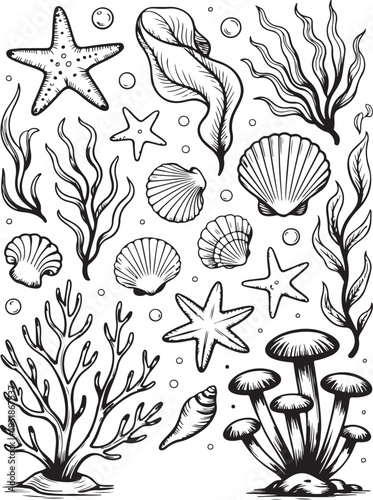Sea Shells and Coral Reef Vector Collection: Underwater Marine Life Illustrations,Black and White Line Art Set of Ocean Treasures, Starfish, and Aquatic Plants