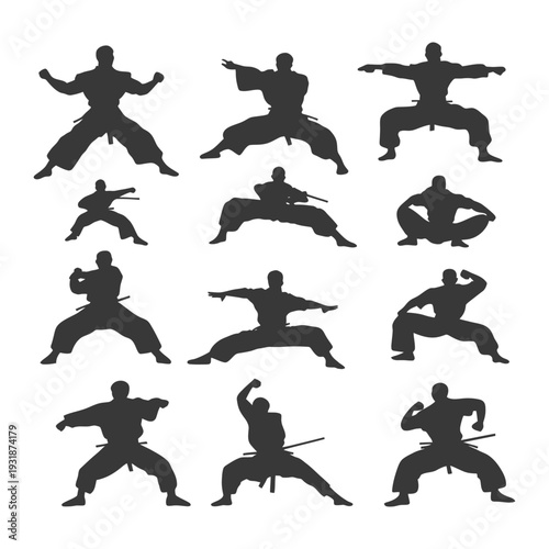 A Collection of Silhouettes of Martial Artists in Various Fighting Stances