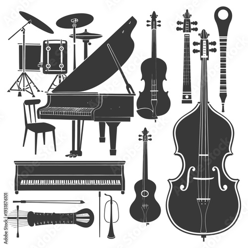 A Grand Piano and an Array of String Instruments