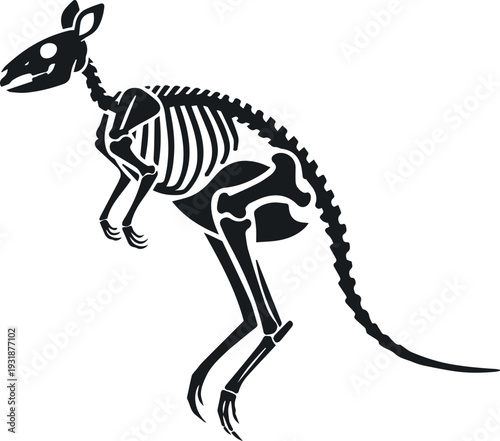Kangaroo Skeleton Silhouette Side Profile Vector