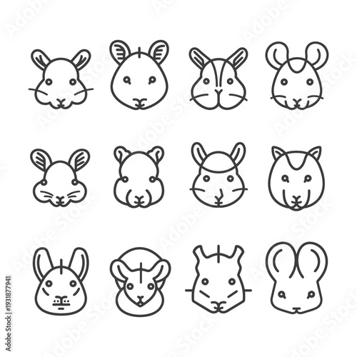 A set of 12 line art illustrations of chinchilla faces