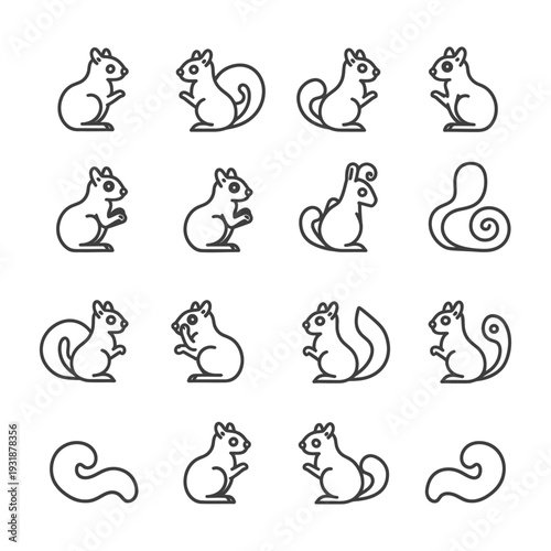 A Set of 16 Line Drawings of Squirrels and Tails