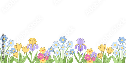 Spring flower border with tulips, irises and forget-me-nots, seamless horizontal floral composition isolated on white background. Blooming garden plants, pastel blossoms and fresh green leaves.