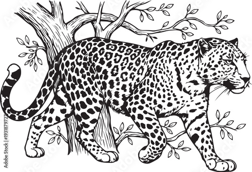 Elegant leopard walking amidst a stylized forest setting with intricate tree branches. Vector, illustration