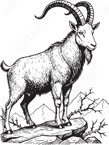 A majestic mountain goat standing proudly on rocky terrain with curved horns. Vector, illustration