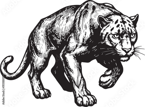 Elegant black panther in mid-stride with detailed silhouette design Vector, illustration