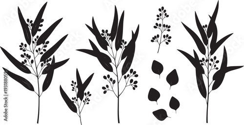 Black silhouettes of various plants and leaves on stems with flowers and buds in a simple illustration