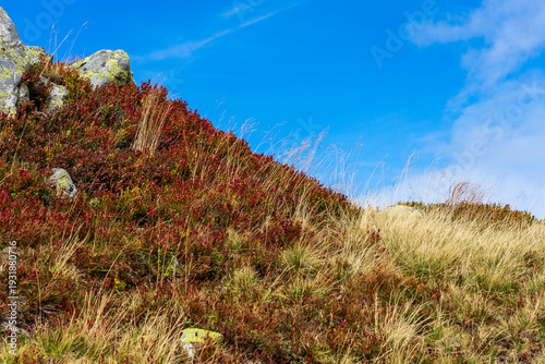 Fall Foliage at the Peak.