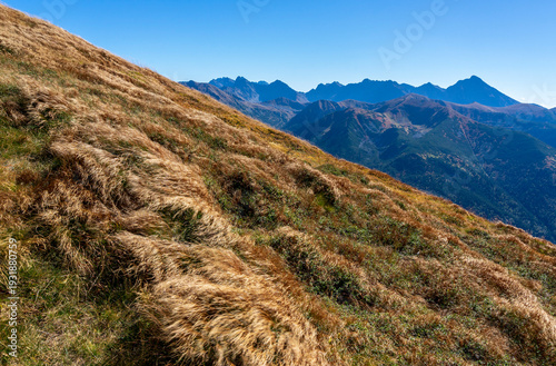 Peaks of the Tatra Mountains and autumn grass.