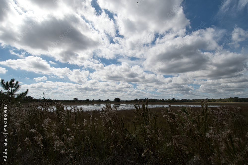 Obraz premium clouds over the sky