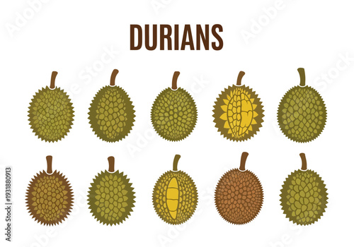 Illustration of ten spiky durian fruits some showing the yellow flesh inside