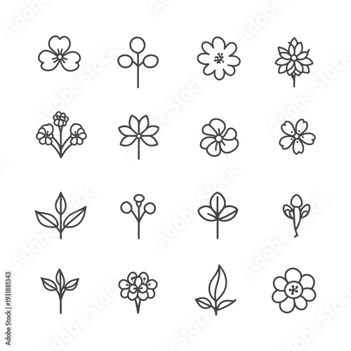 A Set of Sixteen Simple Line Drawings of Flowers and Leaves