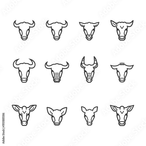 A Set of Twelve Line Drawings of Bull and Cow Heads