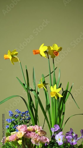 Floral arrangement with spring flowers. Slow rotation