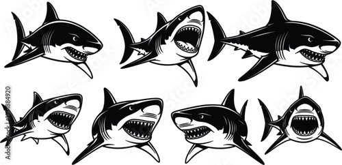 Set of black and white great white shark silhouettes in various swimming and biting poses for marine life designs.