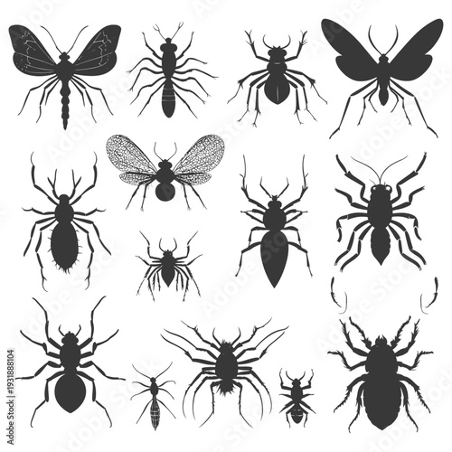 Collection of Black Insect Silhouettes