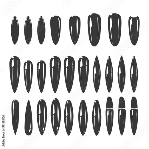 Collection of Black and White Sunflower Seed Silhouettes