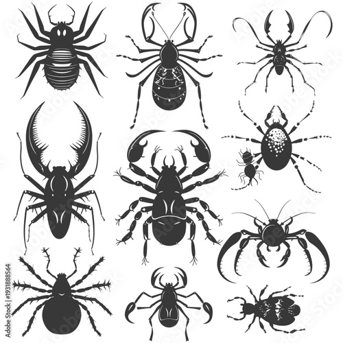 Collection of Detailed Black and White Insect Silhouettes