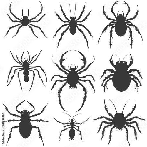 Collection of Detailed Black Spider Silhouettes
