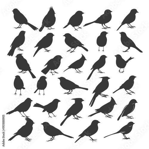 Collection of Diverse Bird Silhouettes in Black and White