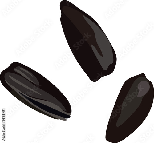 Three sunflower seed husks on white background	