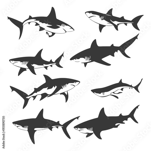 Collection of Shark Silhouettes in Black and White