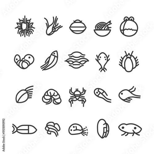 Collection of Simple Line Drawings of Seafood